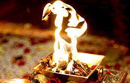 Science of Havan