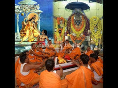 Baglamukhi Puja & Havan