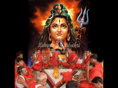 Rudram Chamakam Havan