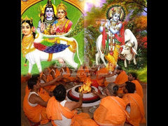 Gau Gayatri Japa and Havan