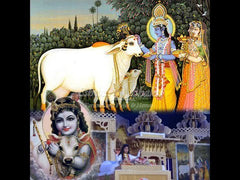 Gau Bhagwad Katha