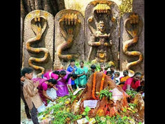 Nag Panchami Puja