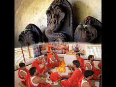 Kaal Sarp Dosh Correction Puja