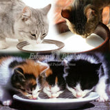 Feed cats