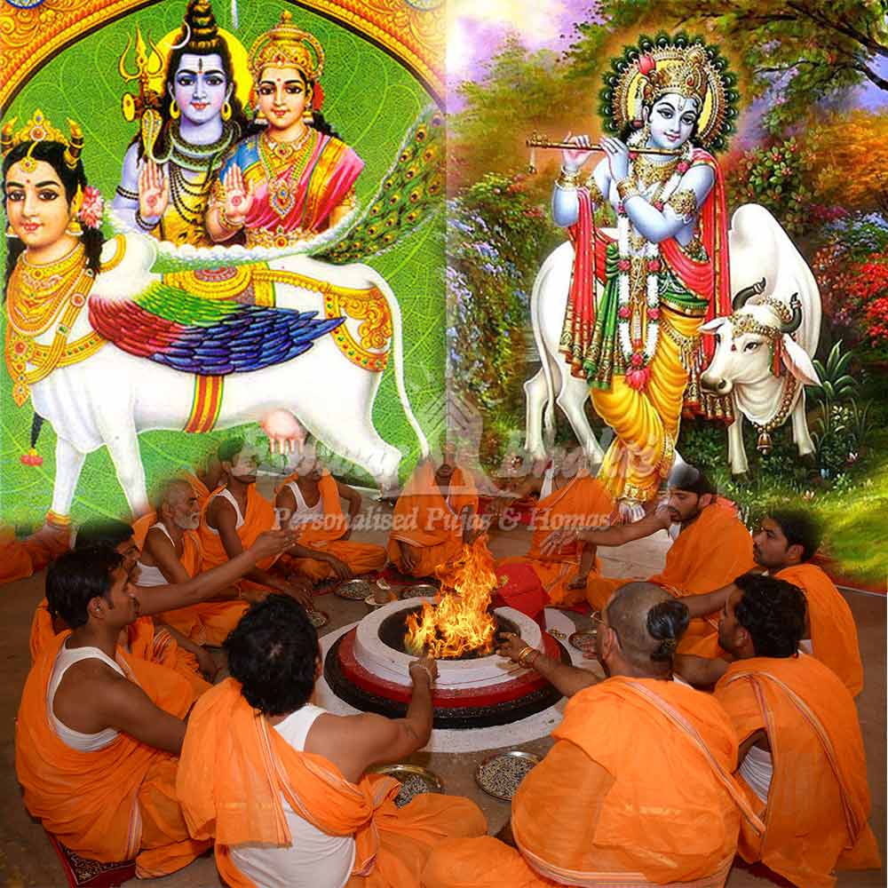 Gau Gayatri Jaap Yagya