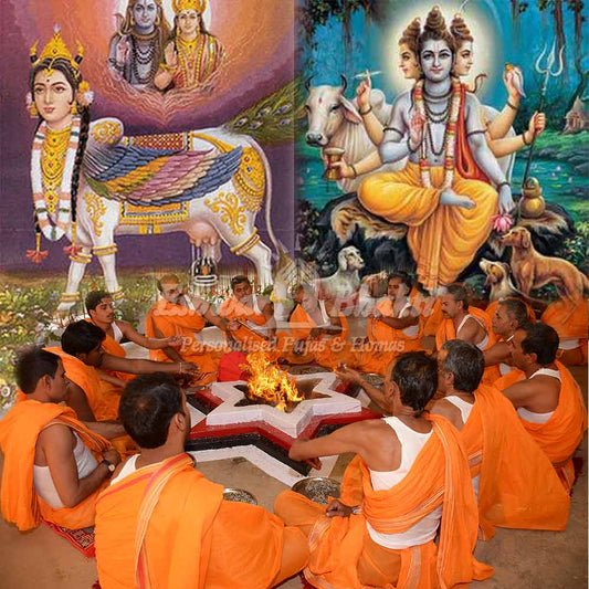 Gau Gayatri Japa Yagna