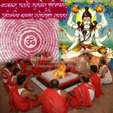 Maha mrityunjay Mantra Yagna