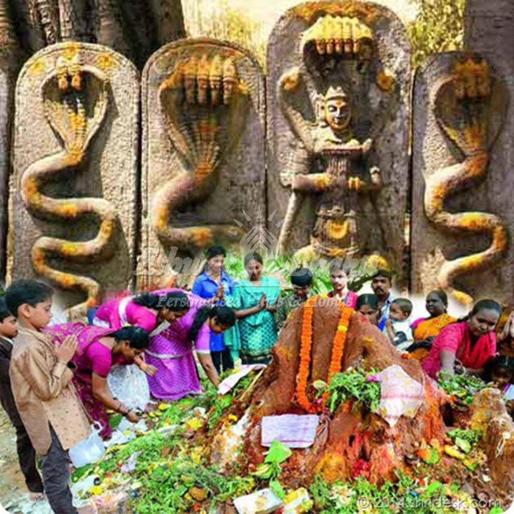 Nag Panchami Pooja