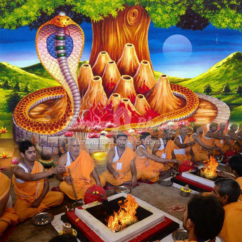 Nag Panchami Puja