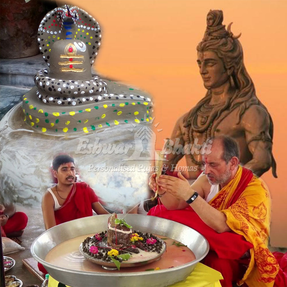 Parthiv Shivling Puja